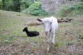 /album/fotogaleria-fotogaleria2/bub-5-jpg/